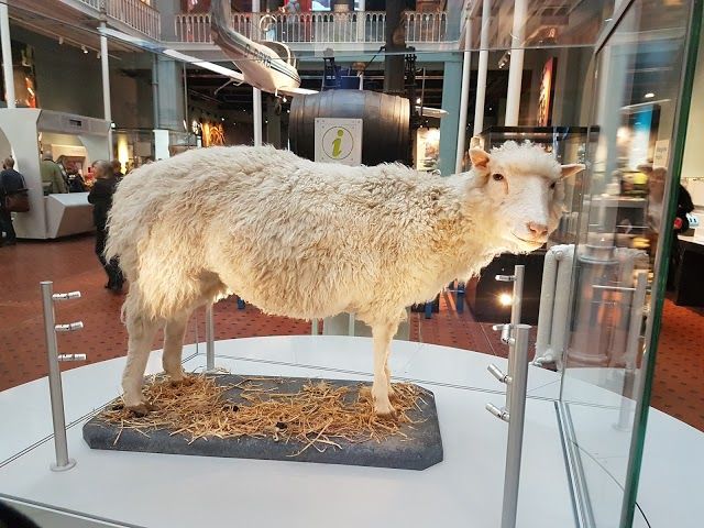 Museo de Escocia